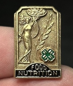 Vtg County Honor 4H Food Nutrition Lapel Pin Sponsor The General Foods Corp Fund