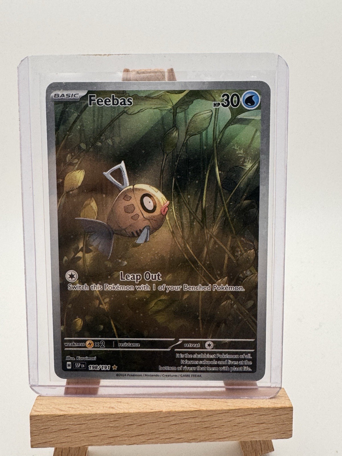 Feebas 198/191 | Illustration Rare | Surging Sparks | NM | Pokemon