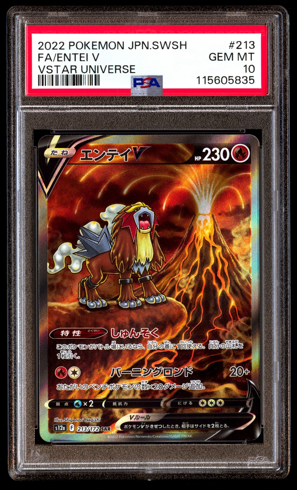PSA 10 Entei V 213 Pokemon Sword & Shield Vstar Universe Japanese 2022