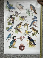 Lot Of 6 Vintage Smokey The Bear posters (20”x30”)