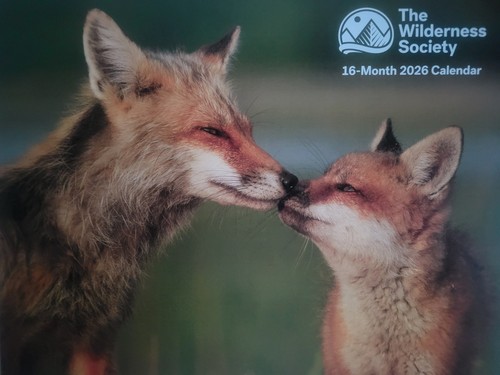 2026 The Wilderness Society 16-Month Wall Calendar
