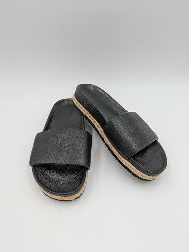 vince aurelia slides