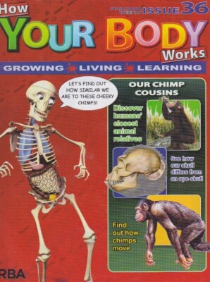 How your body works-issue 36-OUR CHIMP COUSINS.