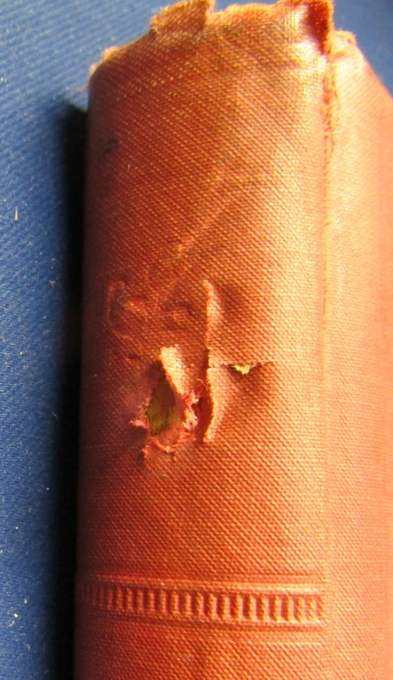 Spühler Meine Reise in Italien um 1930 Prachtalbum Landeskunde Geografie sf - Bild 2 von 4