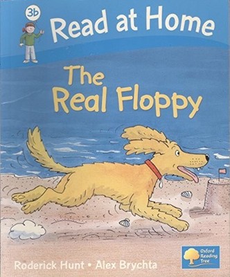 Read at Home: The Real Floppy by Rod Hunt Book The Fast Free Shipping