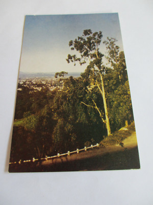Old Postcard of C226 - Eucalyptus Tree, Wesco Spectratone Color Card