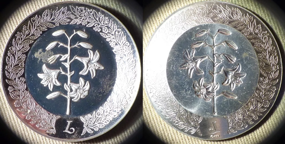 Franklin mint silver best sale plates
