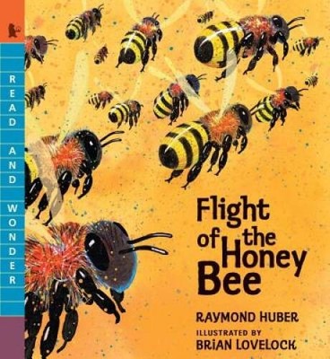 Flight of the Honey Bee (Read and Wonder) - Paperback - VERY GOOD