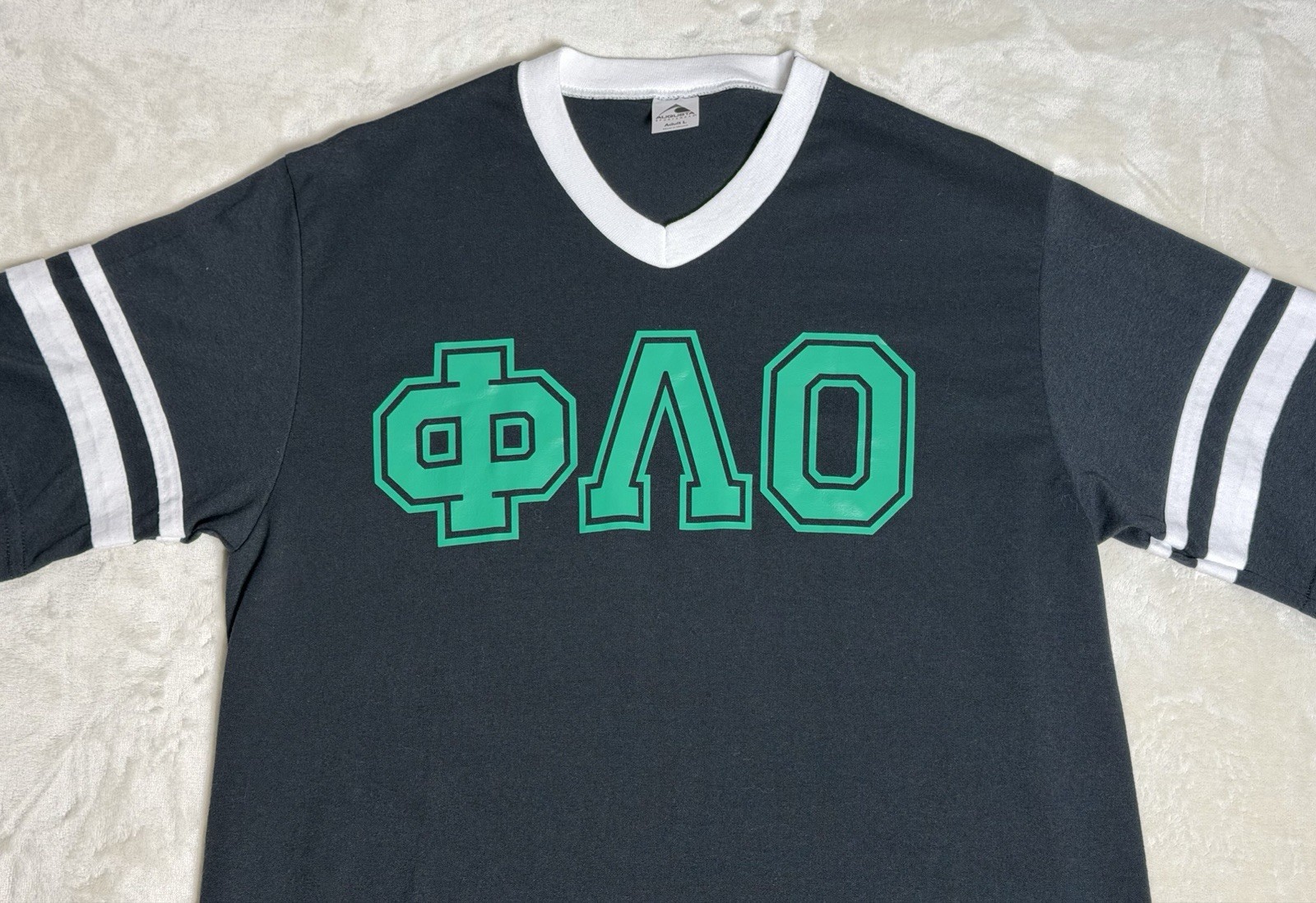 VTG Phi Lambda Omicron Fraternity Chapter Pacific… - image 2