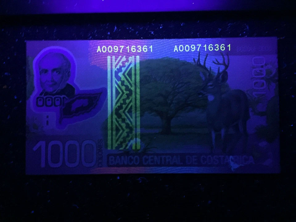 Billete de 1000 Colones POLÍMERO Costa Rica Papel moneda mundial UNC moneda Bill Foto 2 de 3