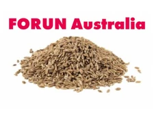 FORUN Dried Dill Seed  