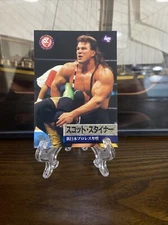 1995 BBM Pro Wrestling Scott Steiner #31 Pack Fresh