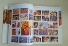 Picture 4 of 8