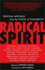 Radical Spirit: Spiritual Writings - Paperback, by Dinan Stephen; Robbins - Good