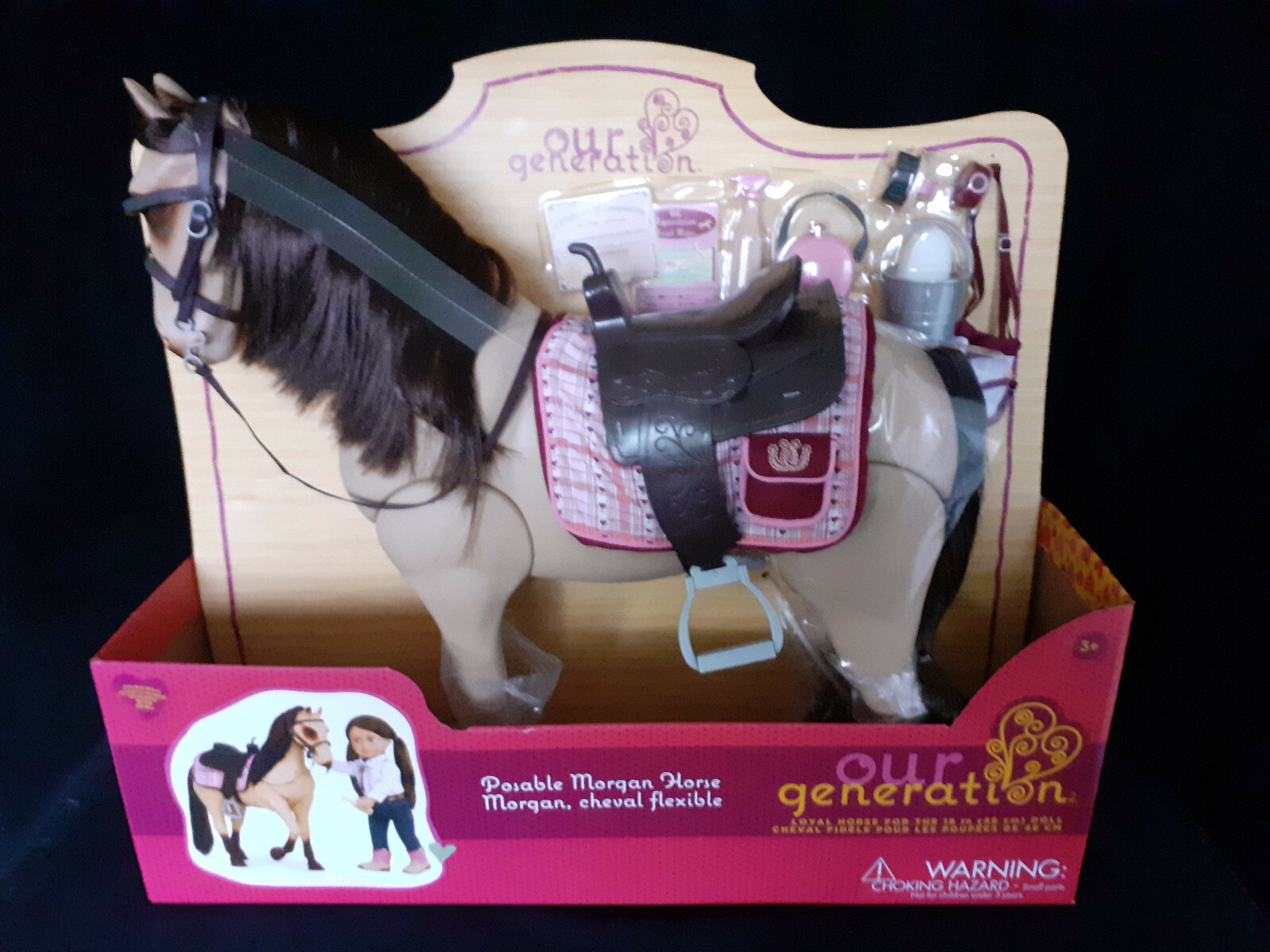 our generation morgan horse