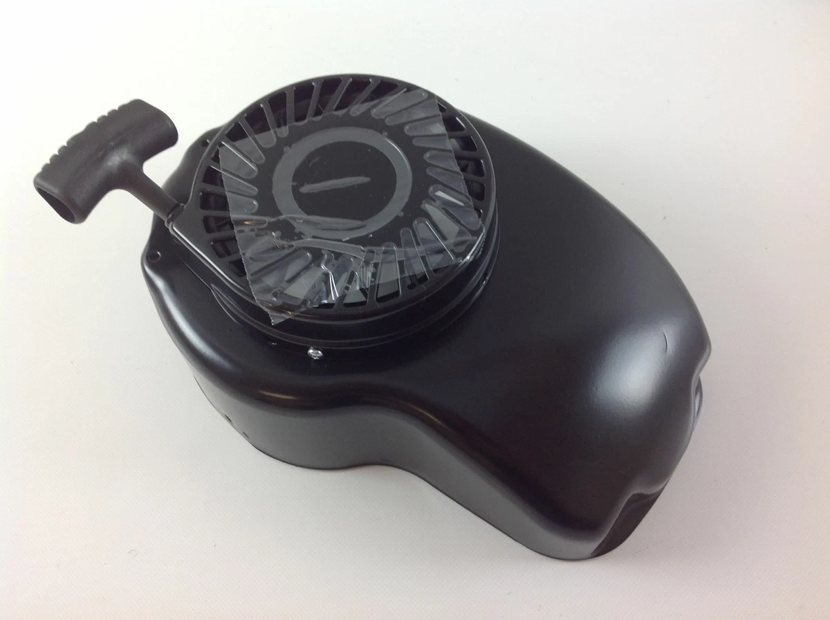 Inbetriebnahme Motor Tecumseh 7-519K für Prisma 16630051 16630054 