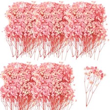 200 Pcs 2-4 Inch Pink Mini Dried Babys Breath Flowers Bulk Bouquet for Wedding