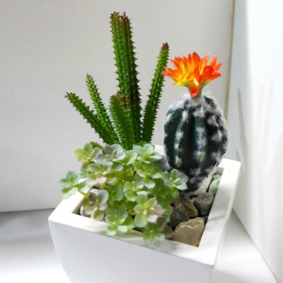 3 Pcs Artificial Plants Mini Cactus Orange Flower Flocking Succulents  (#103) | eBay