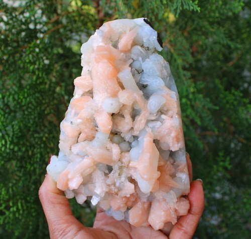 STILBIT AUF CHALCEDON KORALLENMATRIX MINERALIEN EXEMPLAR #A12 STILBIT AUF CHALCEDON KORALLENMATRIX MINERALIEN EXEMPLAR #A12