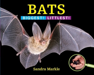 Bats: Biggest! Littlest! by Sandra Markle HARDBACK 9781590789520