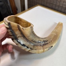 Vintage Rams Horn Shofar 11.5  