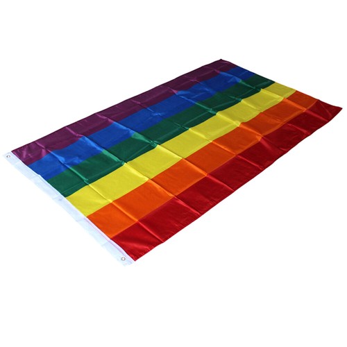 Bandiera arcobaleno 60 x 90 cm grande poliestere bandiera LGBT per eventi celebrativi - Foto 7 di 11