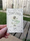 ACEO Original Painting Watercolor Sunflower Seed Packet Drawing Kawb Art Studio — photo 2