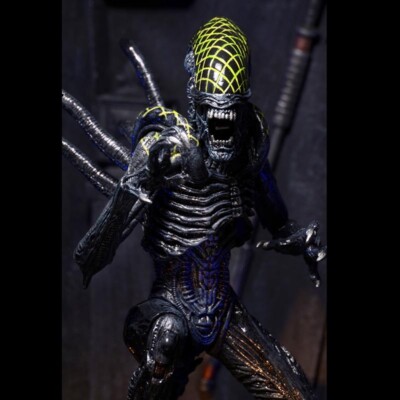 NECA Grid Alien Xenomorph Warrior AVP 7