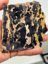 Large Roan Leopard Marble Rough Slab Cabbing Lapidary Combo Ship Avail