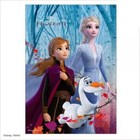 New Tenyo Disney Frozen 2 300 Piece Jigsaw Puzzle from Japan