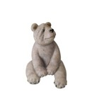 Bild 7 von 7