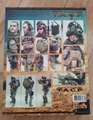 Hot toys 1/6 HT TACP The air force 12'' Action Figure In Stock | eBay