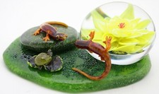 Unique RICK AYOTTE Salamanders TURTLE Pond Art Glass PAPERWEIGHT Sculpture 6.7"