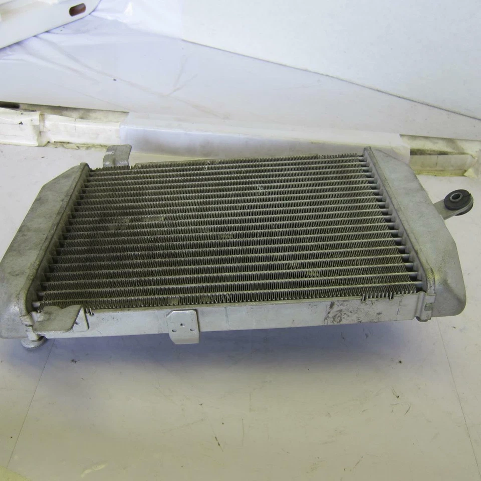 Suzuki Burgman 400 AN400 2005 OEM motor radiador motor enfriador radiador de refrigeración Foto 4 de 4