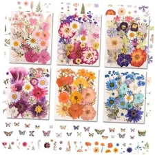 222 PCS Real Pressed Dried Flowers and Leaves with Butterfly Colour 222