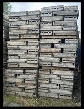 potato chitting trays