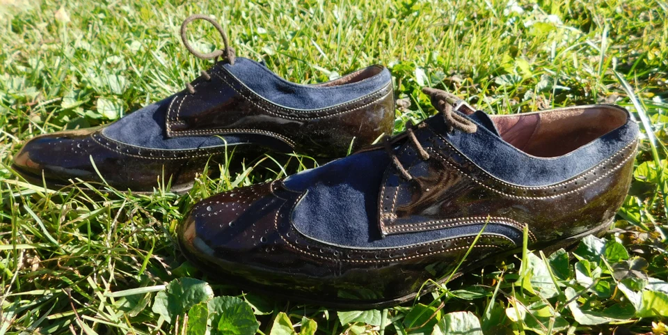 Studio Pollini Negro Charol Azul Gamuza Punta de Ala Cuero Corbata Elegante Oxford talla 7.5 Foto 4 de 4