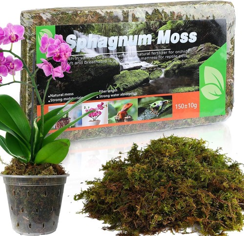 Dried Forest Moss for Plants (5 Qt / 1 Pack), Sphagnum Potting Moss for Various