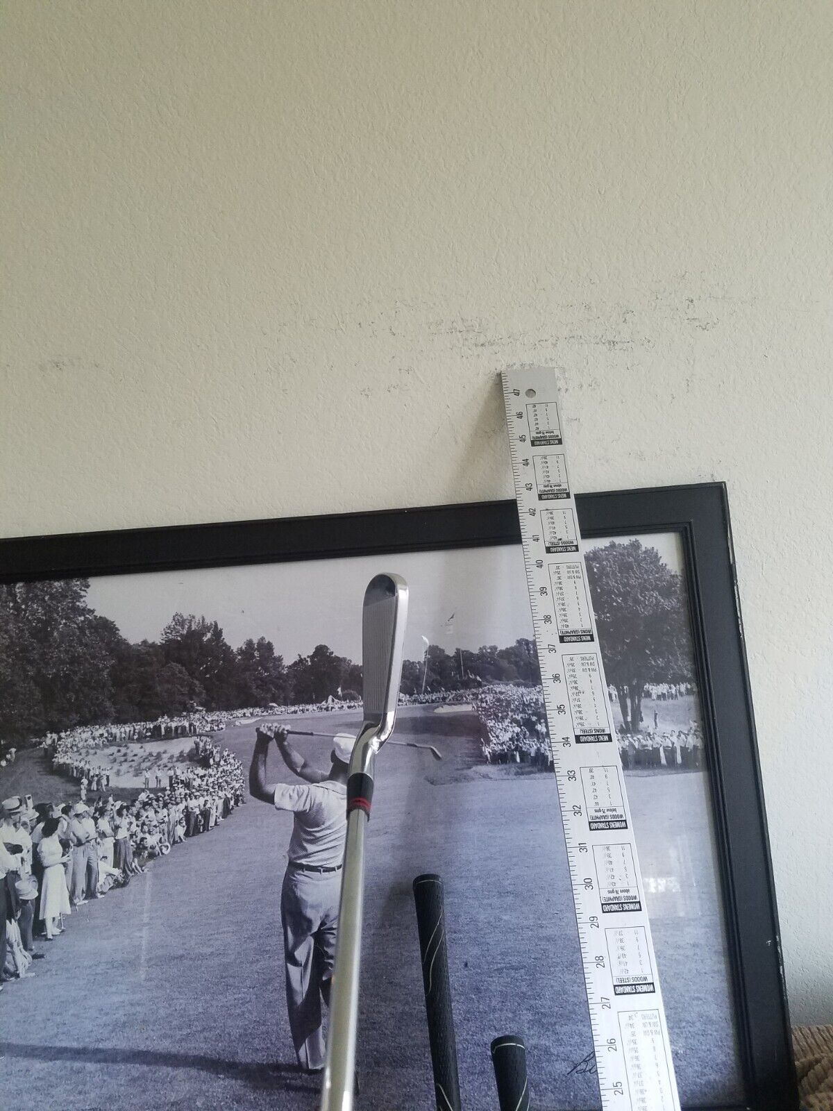 Picture 8 of 9