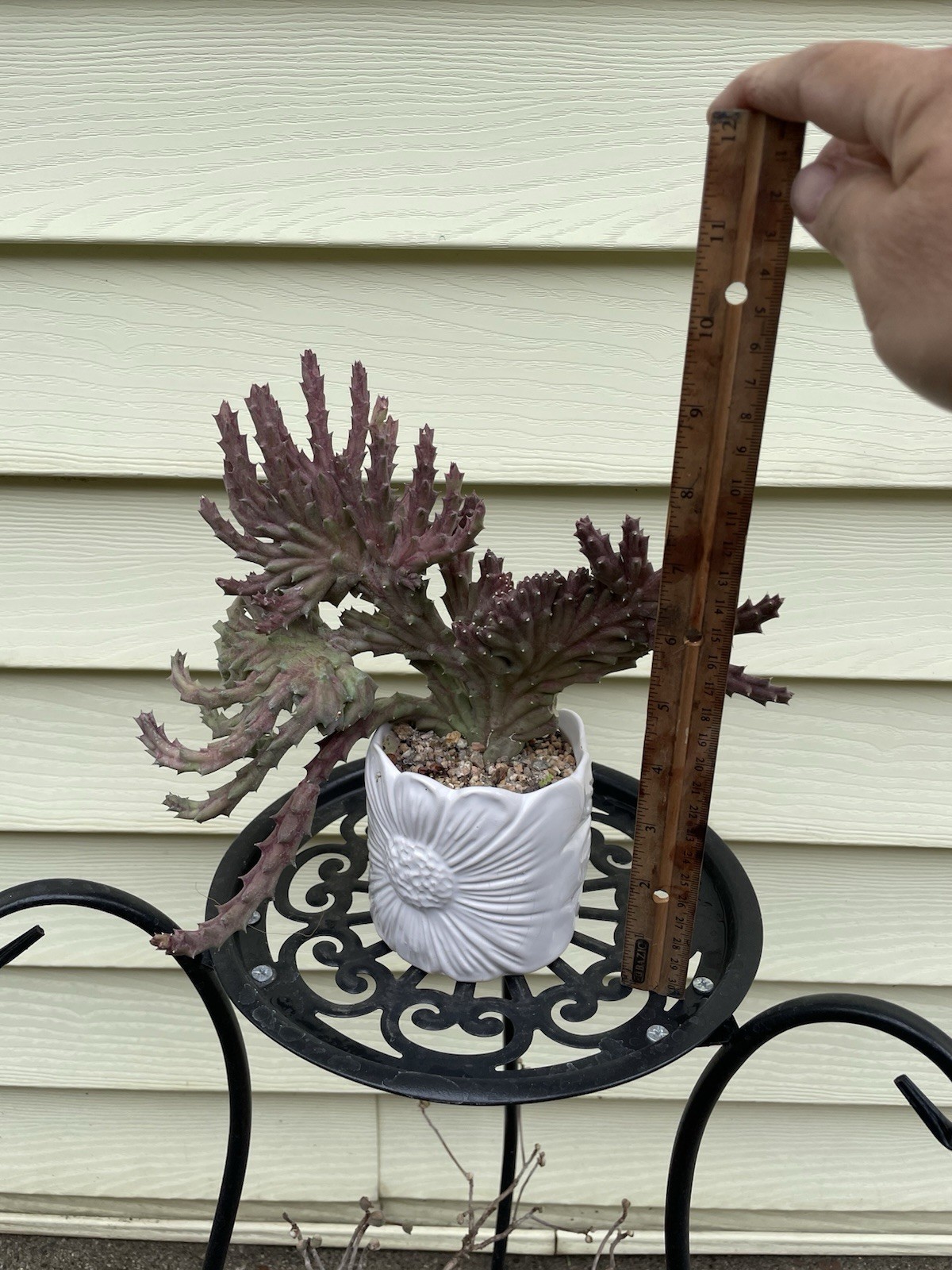 Picture 14 of 18