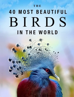 The 40 Most Beautiful Birds in the World: A full color picture book for Seni...