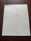 1994 Matted Mario Andretti Laguna Seca Raceway Postmarked Envilopes — photo 2