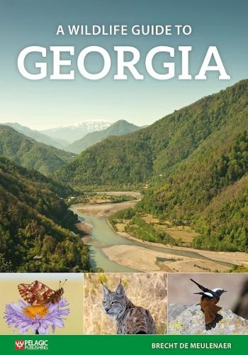 A Wildlife Guide to Georgia (Where to Watch Guides) - Image 2