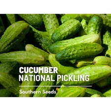 Cucumber, National Pickling - 30 Seeds - Heirloom Vegetable, Open Pollinated