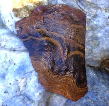 0,66Kg Stromatolith Rohstein Cyanobakterien  Stromatolite Mikroorganismen Nr.59