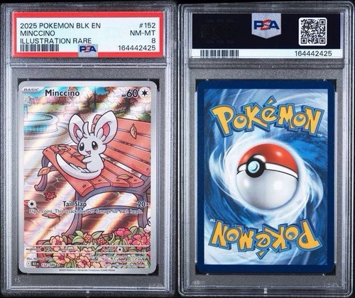 Pokemon Minccino 152/086 SV: Black Bolt Holo 2025 PSA 8 Rare Full Art Mint NM MT