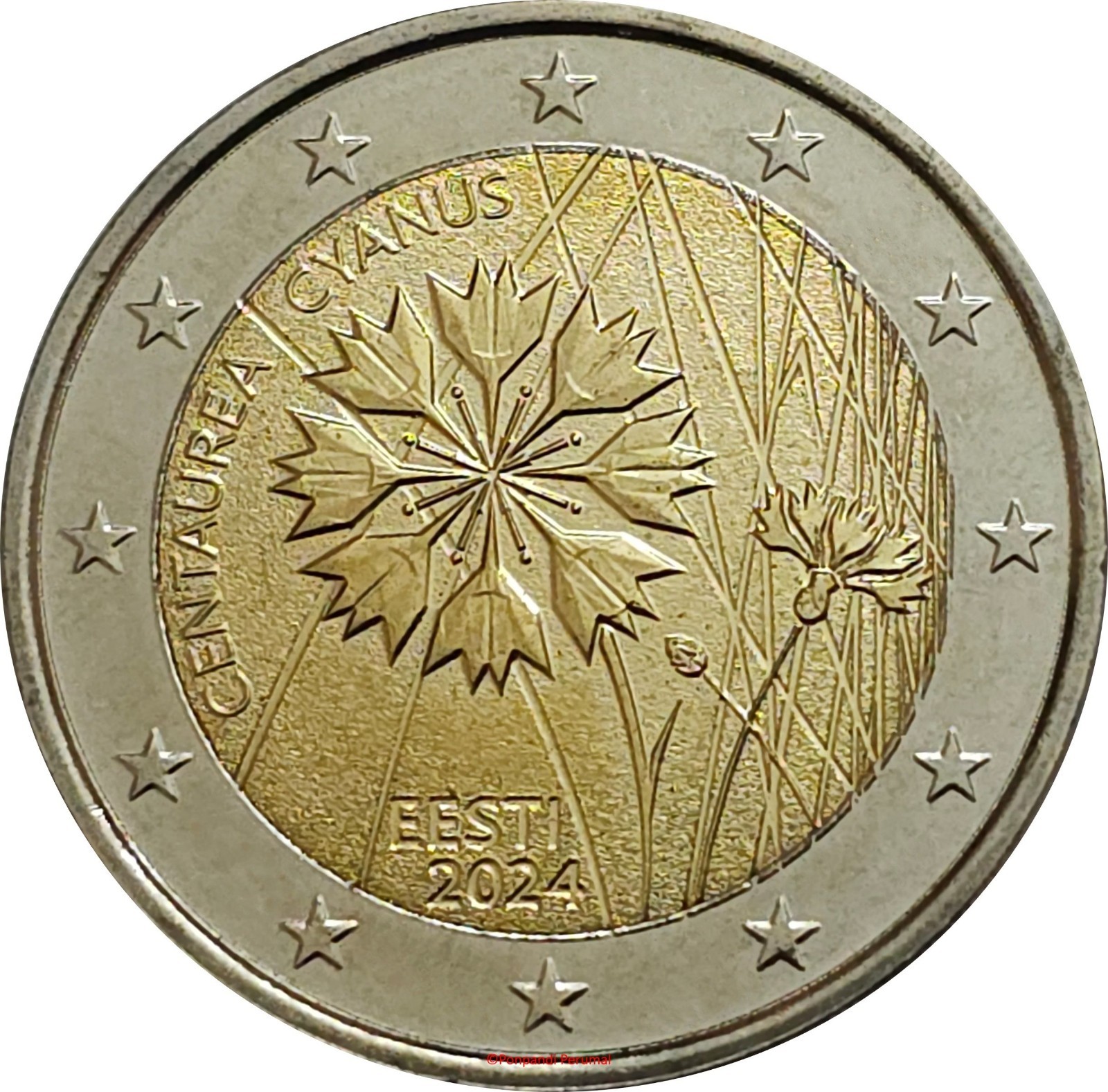 ESTONIE 2 EUROS € 2024 BLEUET NEUVE UNC