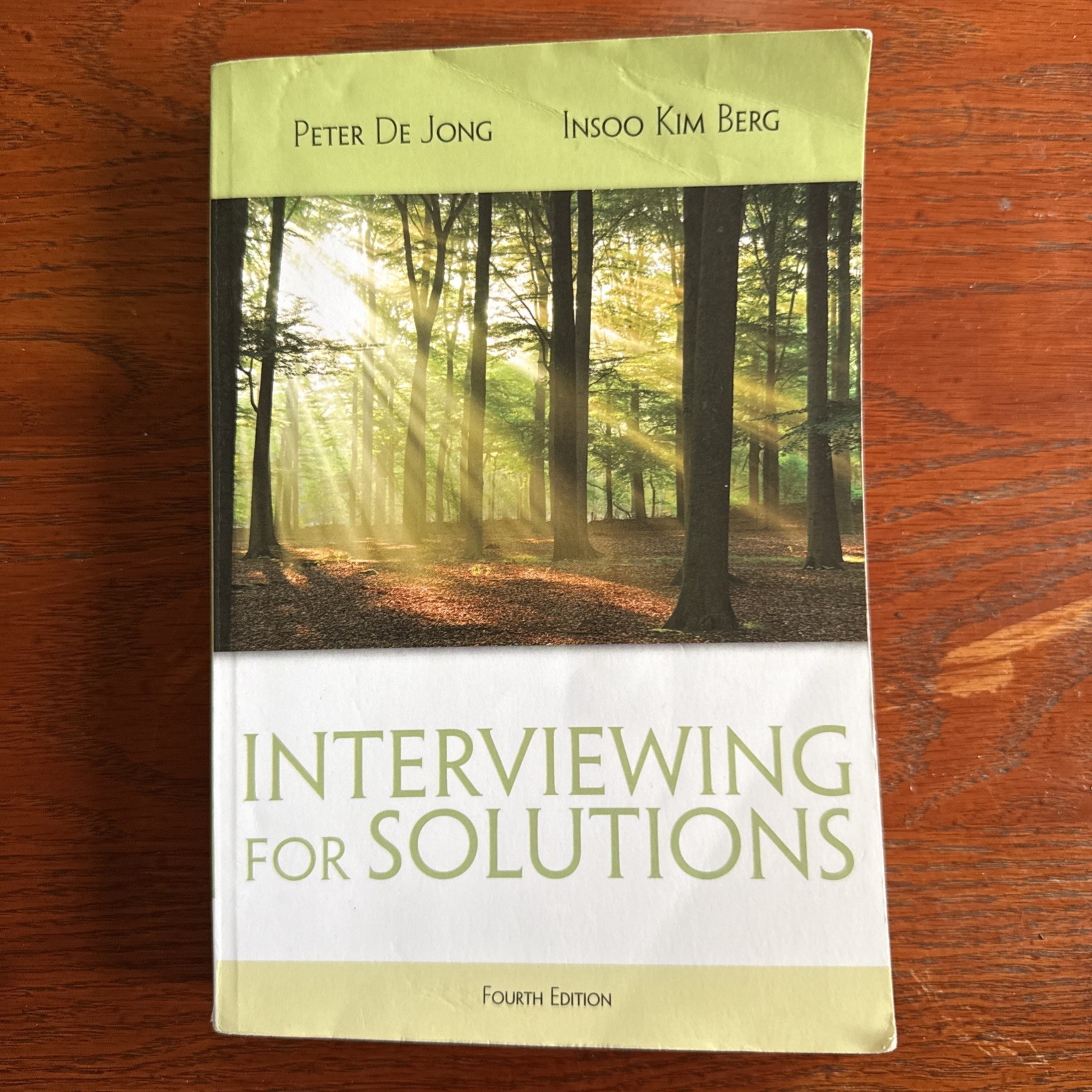 Hse 123 Interviewing Techniques Ser.: Interviewing for Solutions by Peter De...