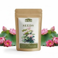 Lotus Flower Seeds, 32 Bowl Lotus Seeds, Water Lily Seeds, Pink