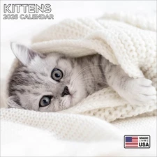 Kittens Calendar 2026  - Cute Animal Wall Calendar - Made in the USA!